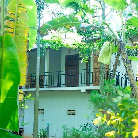 Wild Heaven Udawalawe Hotel Kültér fotó
