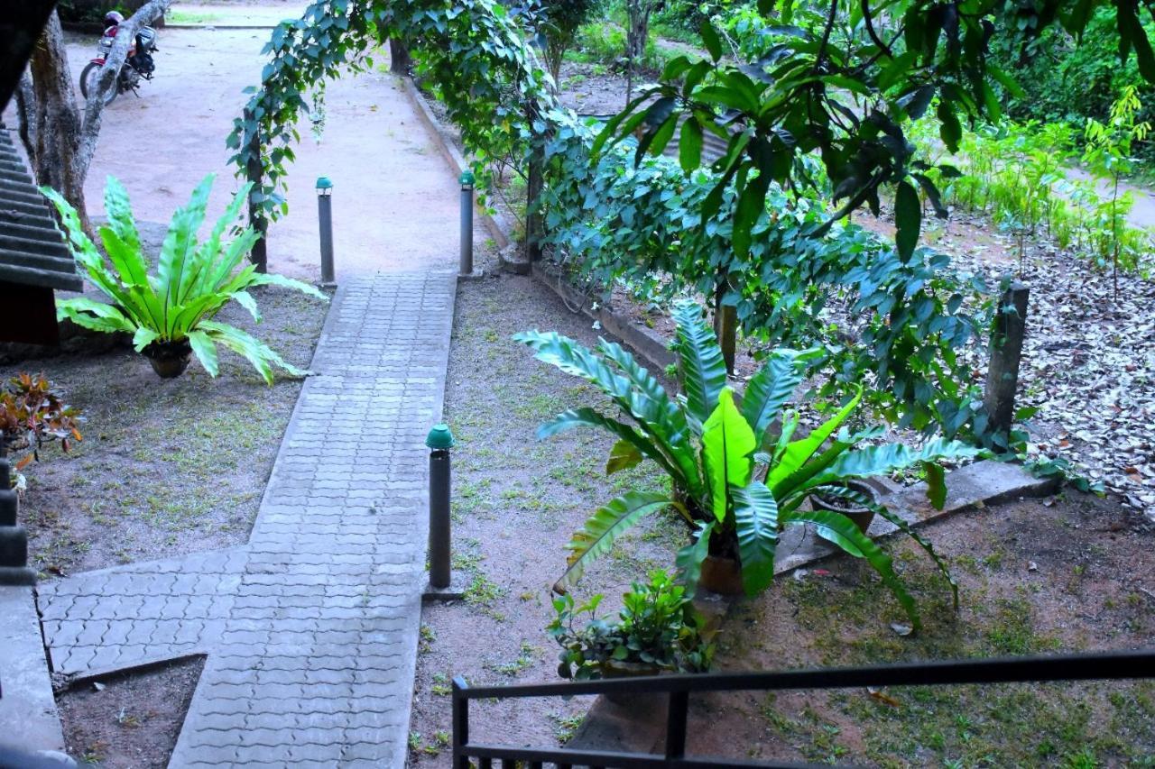 Wild Heaven Udawalawe Hotel Kültér fotó