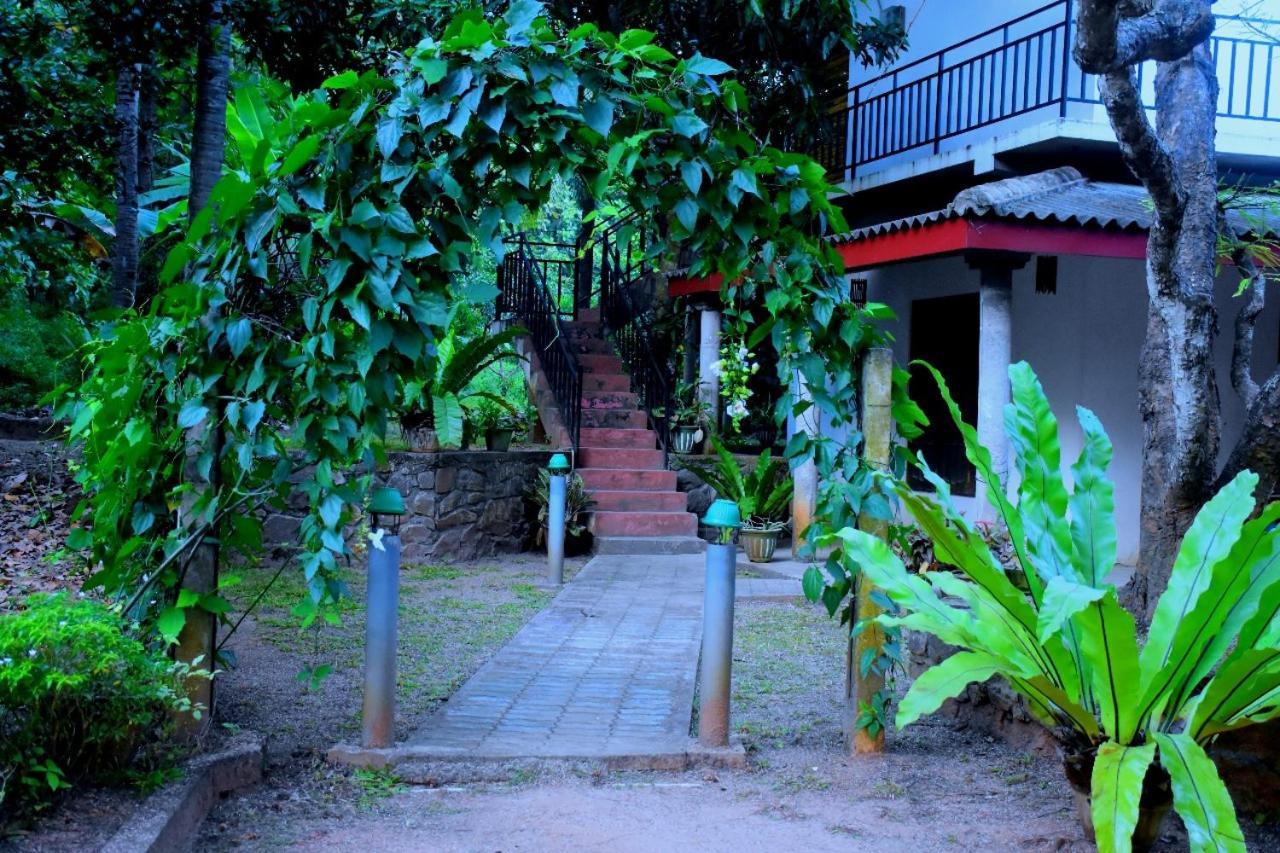 Wild Heaven Udawalawe Hotel Kültér fotó