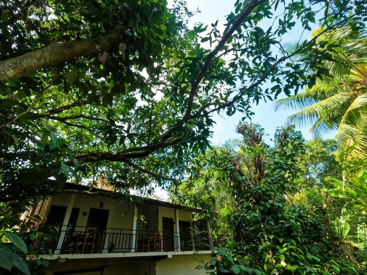 Wild Heaven Udawalawe Hotel Kültér fotó
