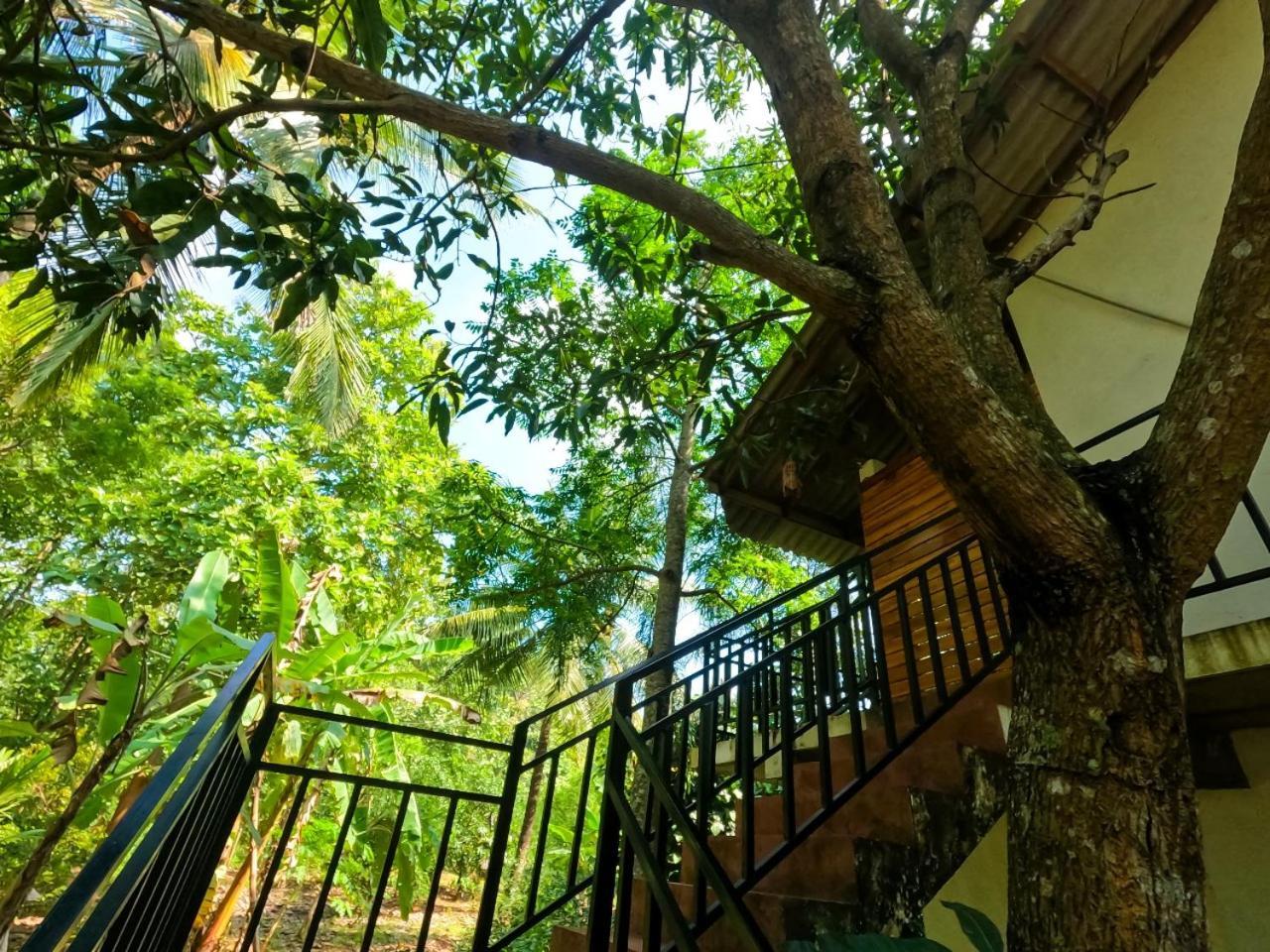 Wild Heaven Udawalawe Hotel Kültér fotó
