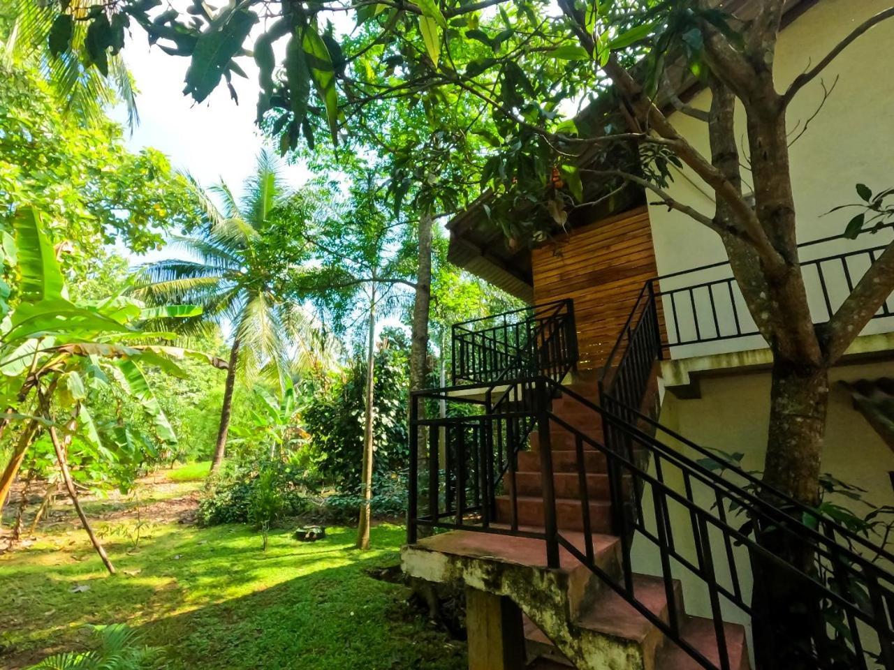 Wild Heaven Udawalawe Hotel Kültér fotó
