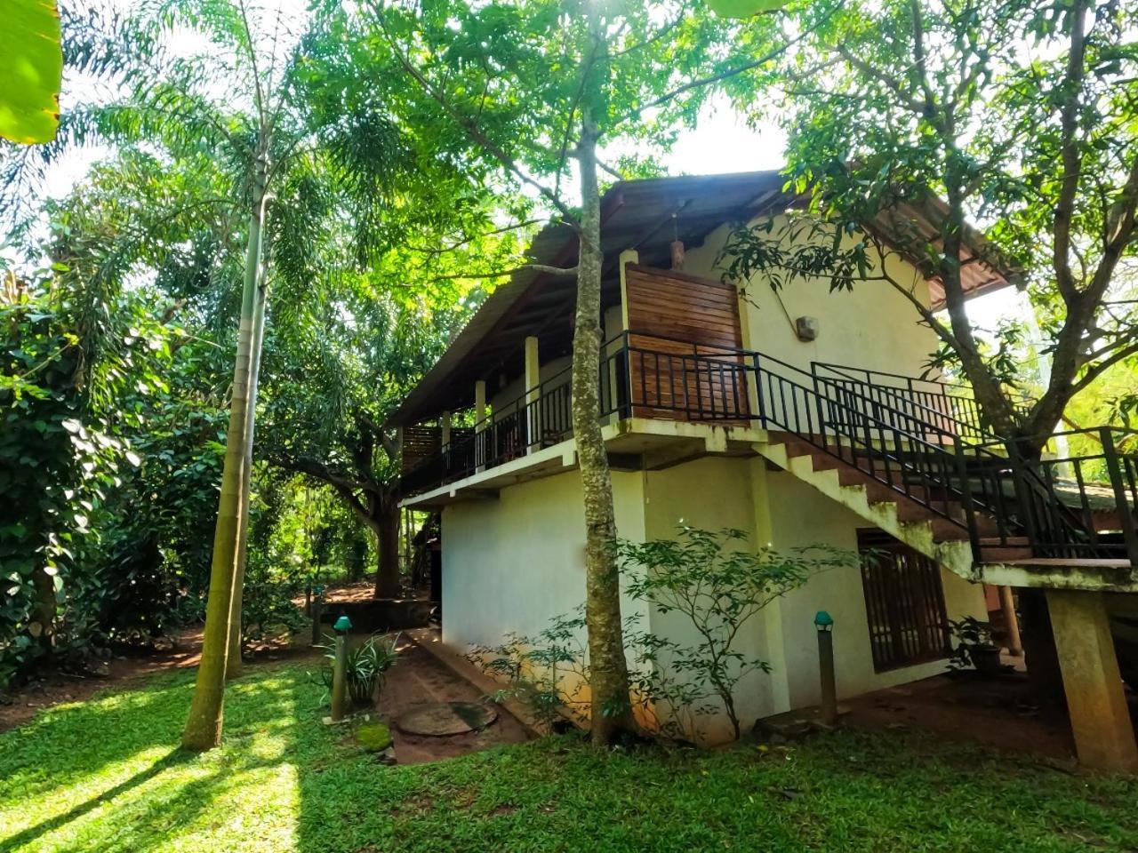 Wild Heaven Udawalawe Hotel Kültér fotó