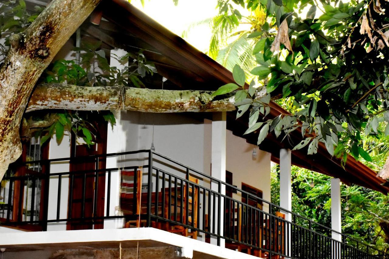 Wild Heaven Udawalawe Hotel Kültér fotó