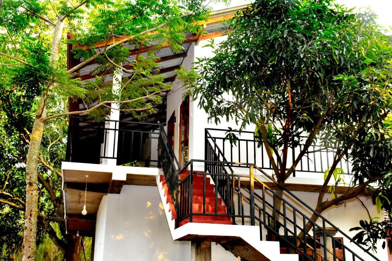 Wild Heaven Udawalawe Hotel Kültér fotó